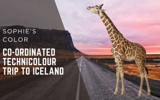 Sophie’s Color Co-ordinated Technicolour Trip to Iceland