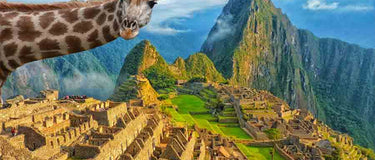 Sophie Goes To Argentina and Peru