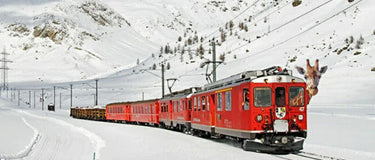 Sophie in Switzerland