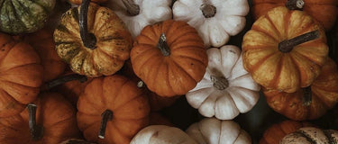 Assorted pumpkins, header visual