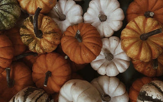 Assorted pumpkins, header visual
