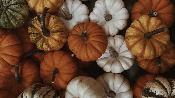 Some Tricks (and Treats) from LUC8K: The Perfect Colors to Be Seen in This Halloween