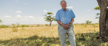 David Attenborough at 100: A Love Letter from LUC8K