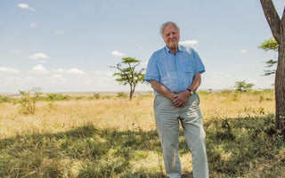 David Attenborough at 100: A Love Letter from LUC8K
