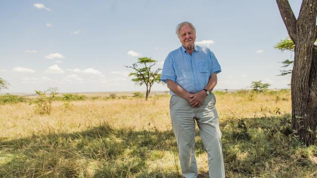 David Attenborough at 100: A Love Letter from LUC8K