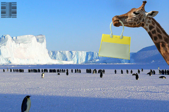 Sophie Goes To Antarctica and Learns Some Difficult Facts