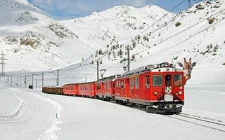 Sophie in Switzerland