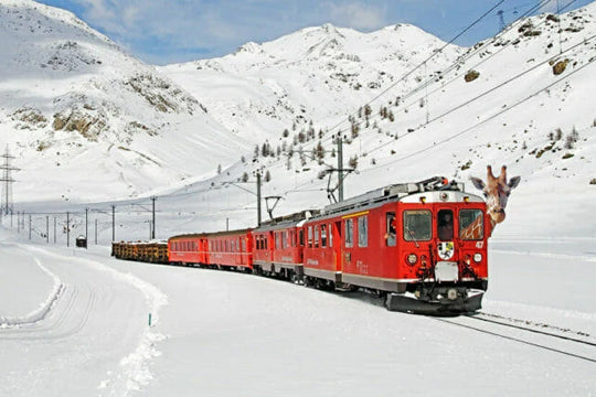 Sophie in Switzerland