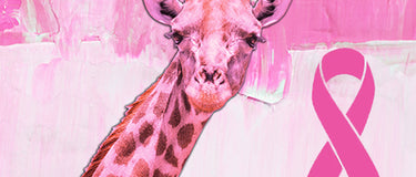 The Power of Pink: A Colorful History
