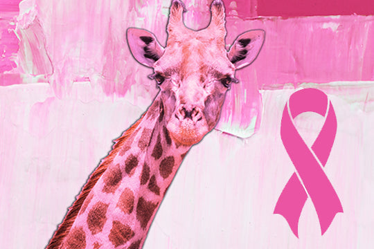 The Power of Pink: A Colorful History - LUC8K