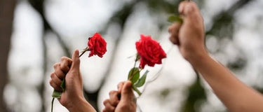 Women holdina red rose into the sky