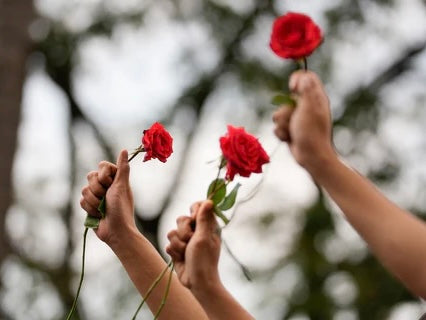 Women holdina red rose into the sky